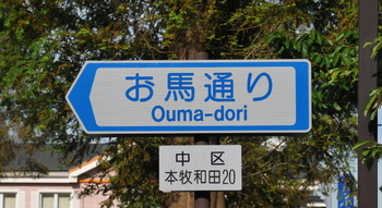 お馬通りa.jpg