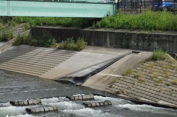 遊水池公園b.jpg