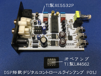 NFJ P01J　LM4562.jpg