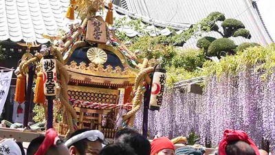 藤祭り　銚子　妙見さま.jpg