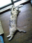 1163_edited-1.jpg