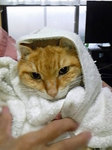 2013-03-18_7268_edited-1.jpg