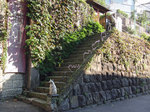 nekomati2011-11-03_7010.jpg