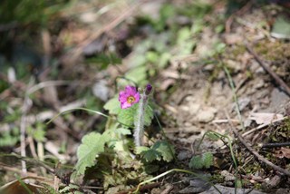 IMG_7860.JPG