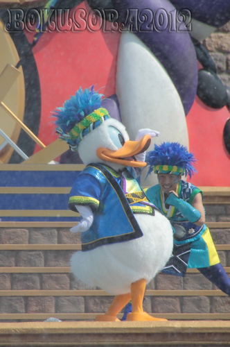 tdl_summer2012_010.jpg