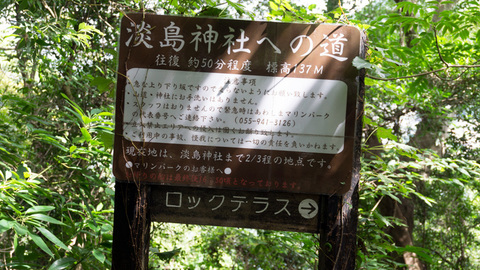 淡島神社まで2/3地点