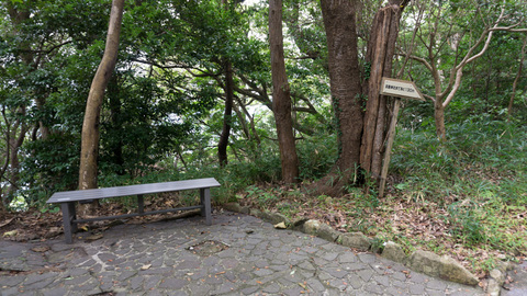 淡島神社まであと130m