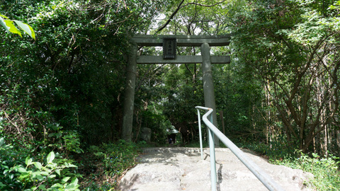 山頂の鳥居