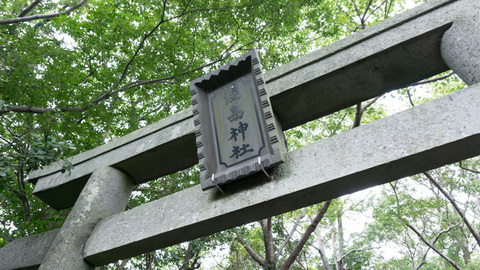 淡島神社の鳥居