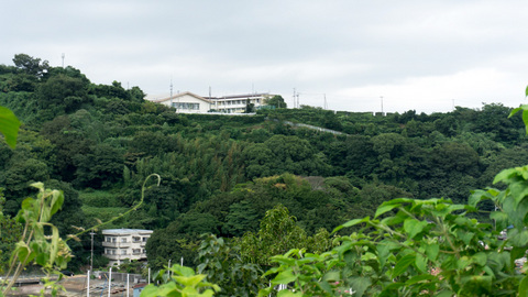 長井崎中学校が見える