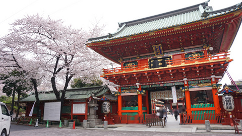 神田明神と桜