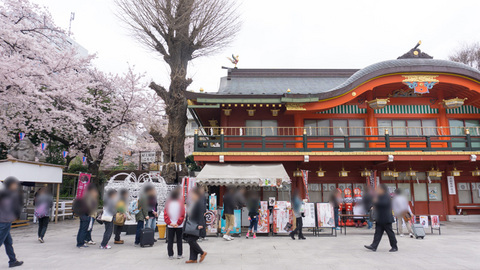 神田明神と桜