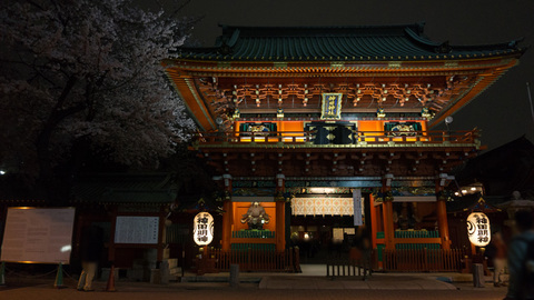 神田明神と夜桜