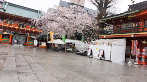 雨の朝の神田明神