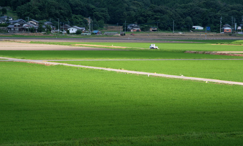 雲間からの陽が差す水田