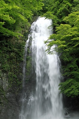 箕面の滝
