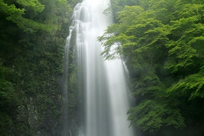 箕面の滝