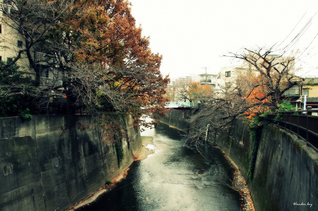 石神井川.jpg
