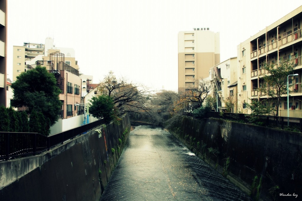 石神井川.jpg