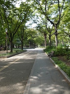 靭公園