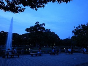 夕方の代々木公園
