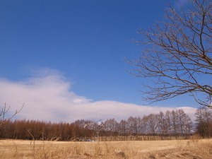 八ヶ岳2011