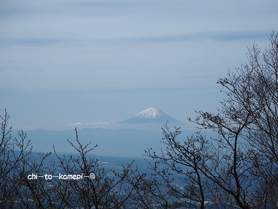 P5111089　雲海からの富士山.jpg
