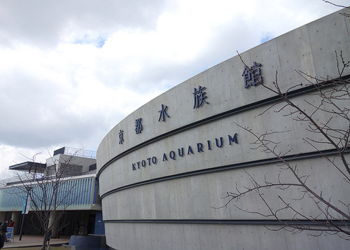 aquarium20170311_04.JPG