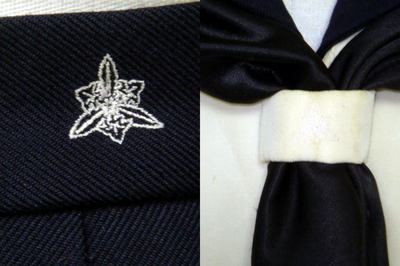 東洋大学付属姫路高等学校の制服
