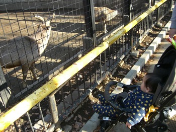 2012.12.16　夢見ヶ先動物公園