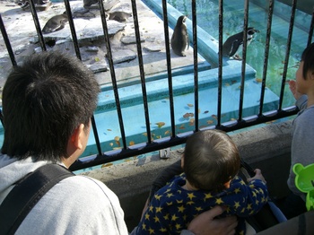 2012.12.16　夢見ヶ先動物公園