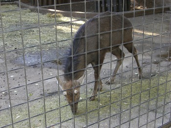 2012.12.16　夢見ヶ先動物公園