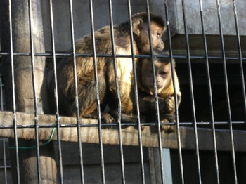 2012.12.16　夢見ヶ先動物公園