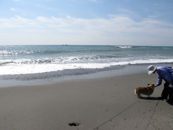 IMG_4476a.jpg