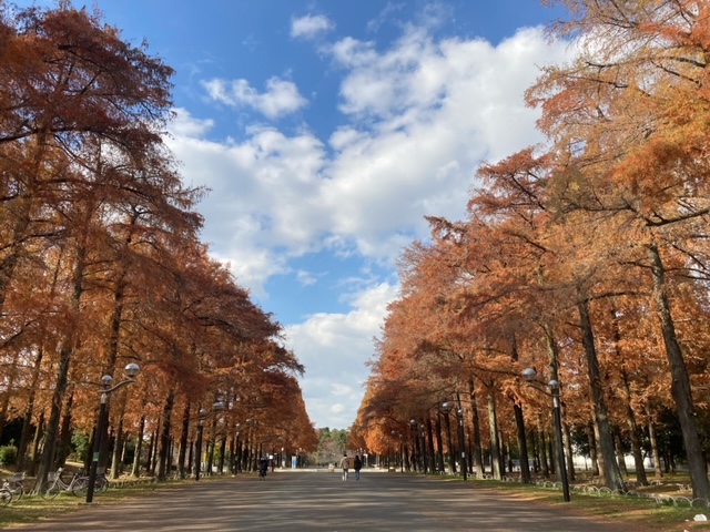 なかせ鍼灸整骨院