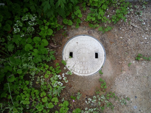 P1020429.jpg