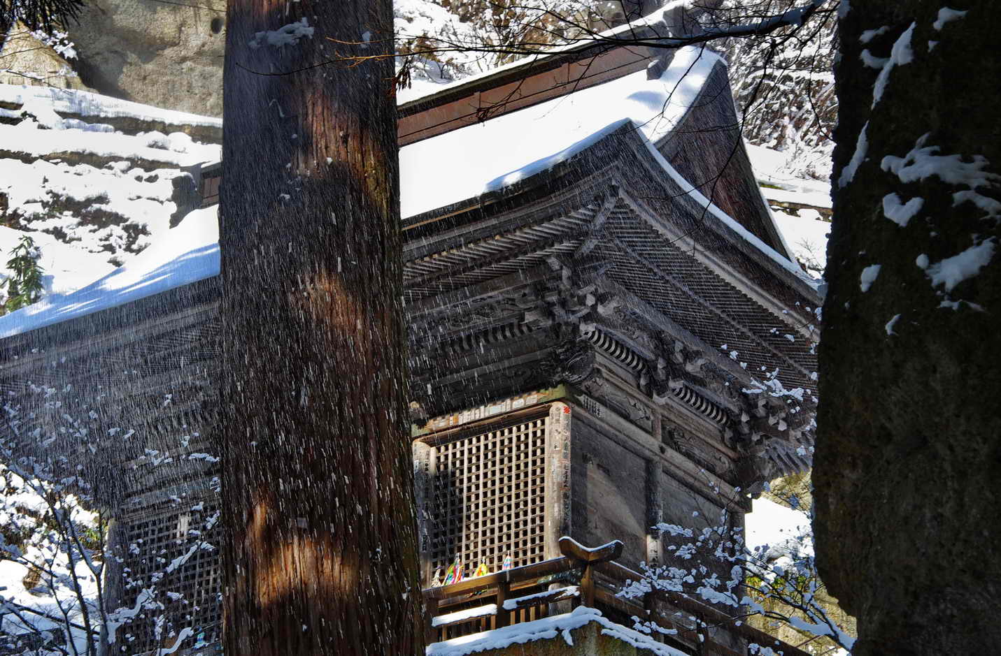 綺麗なもの見つけた（街角探検隊）