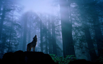 森林と狼.jpeg