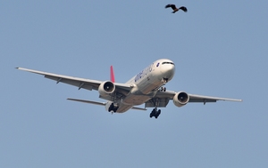 JA752J