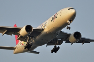 JA8981