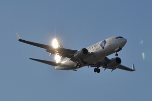ANA Business Jet