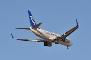 ANA Business Jet