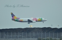 SNJ