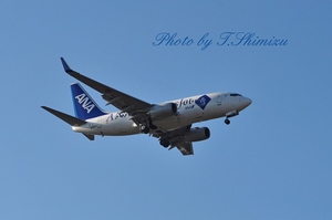 ANA Business Jet