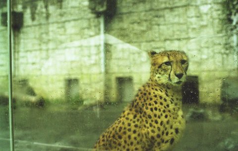 雨の動物園