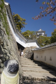 姫路城とくんぺい５