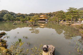 金閣寺とくんぺい全景