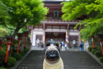 くんぺいと鞍馬寺