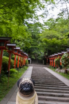 鞍馬寺参道