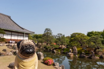 二の丸庭園とくんぺい君